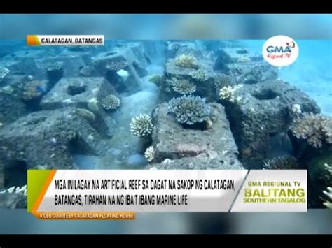 coral in tagalog